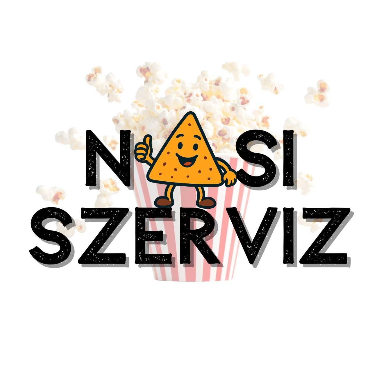 Nasiszerviz logo